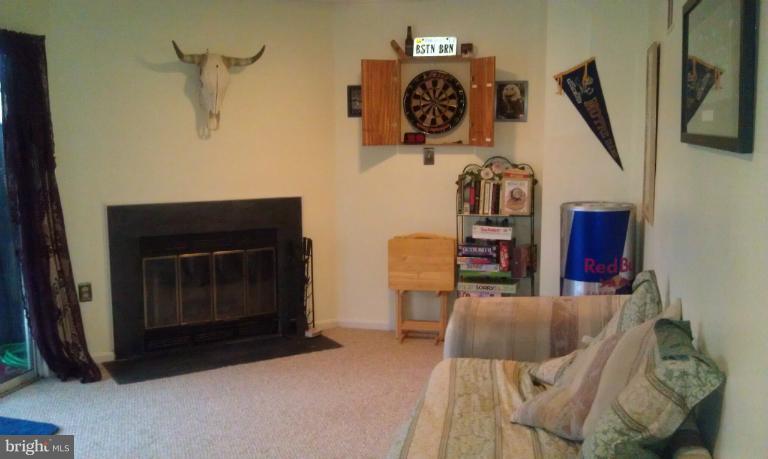 7353 St Thomas Loop Manassas, VA 20109 - Photo 10 of 20 a view of entryway and hall with wooden floor