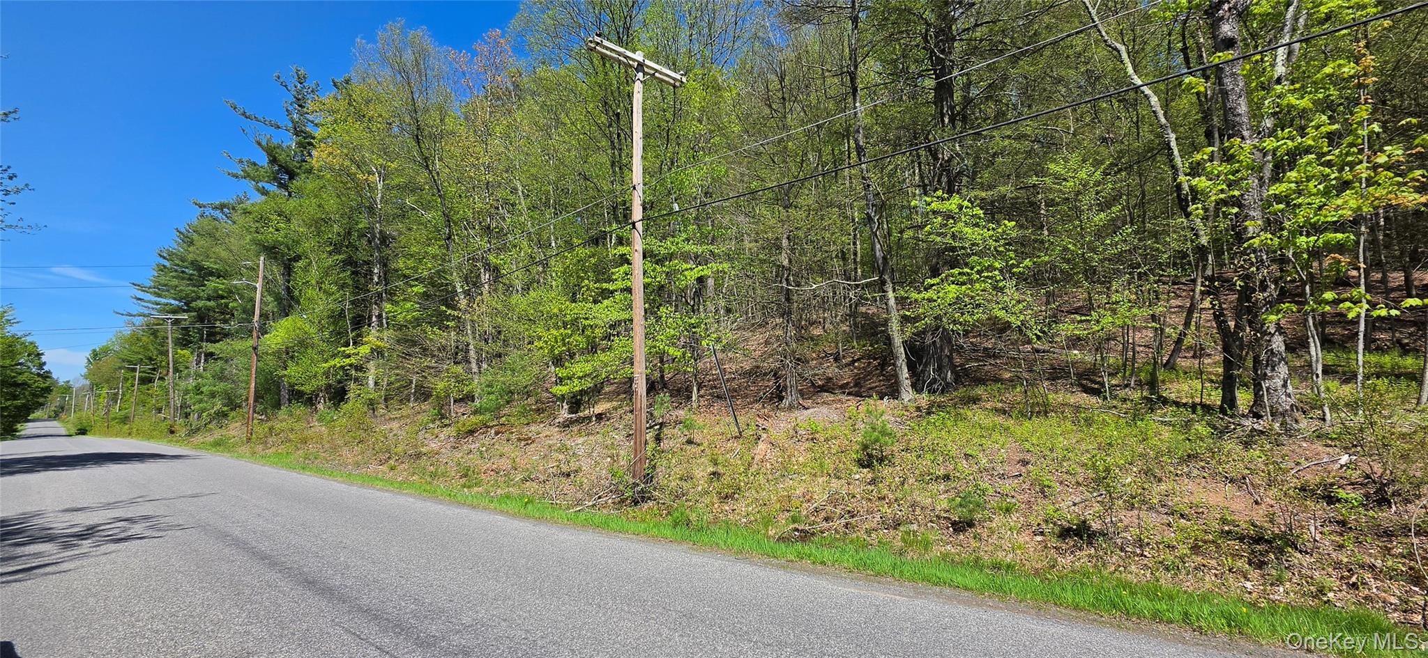 Hamilton Road Monticello, NY 12701 - Photo 1 of 11 a view of a backyard