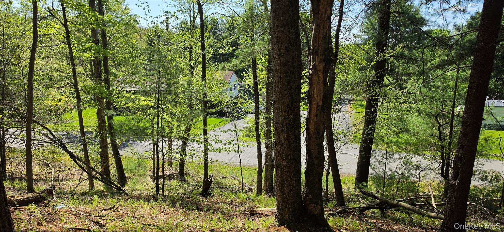 Hamilton Road Monticello, NY 12701 - Photo 5 of 11 a view of outdoor space and garden