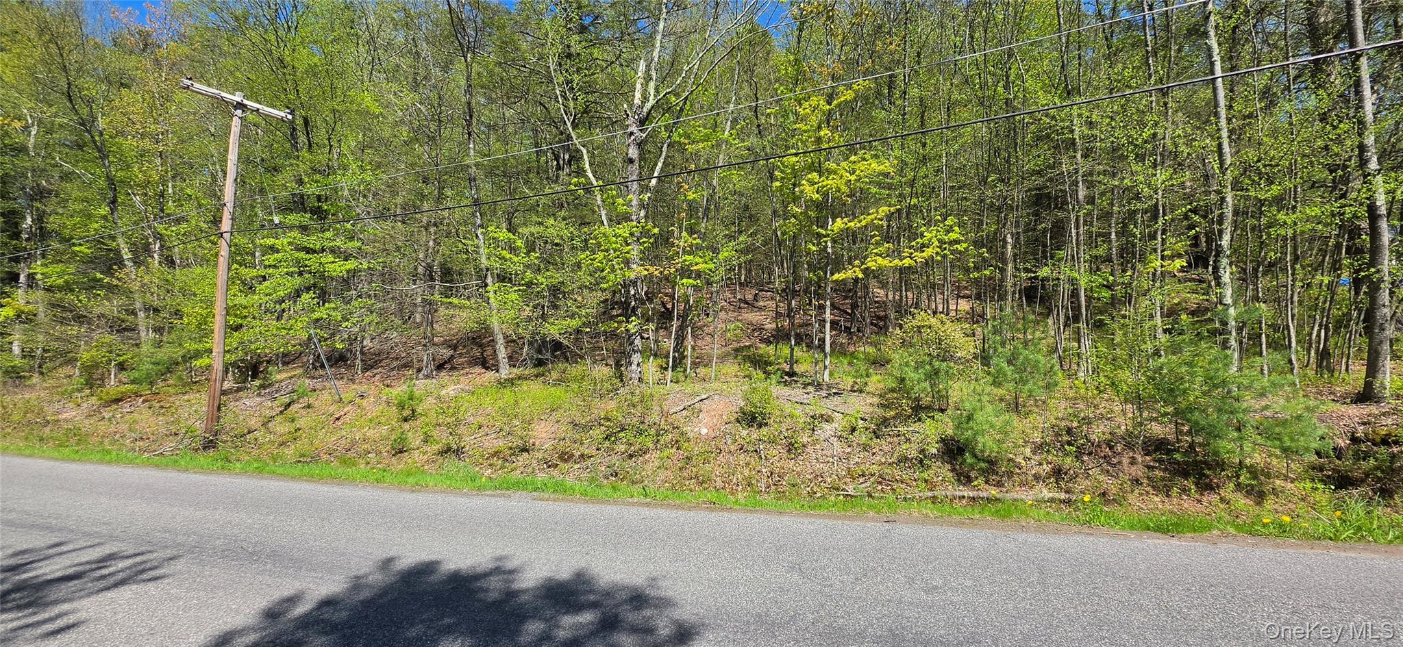 Hamilton Road Monticello, NY 12701 - Photo 8 of 11