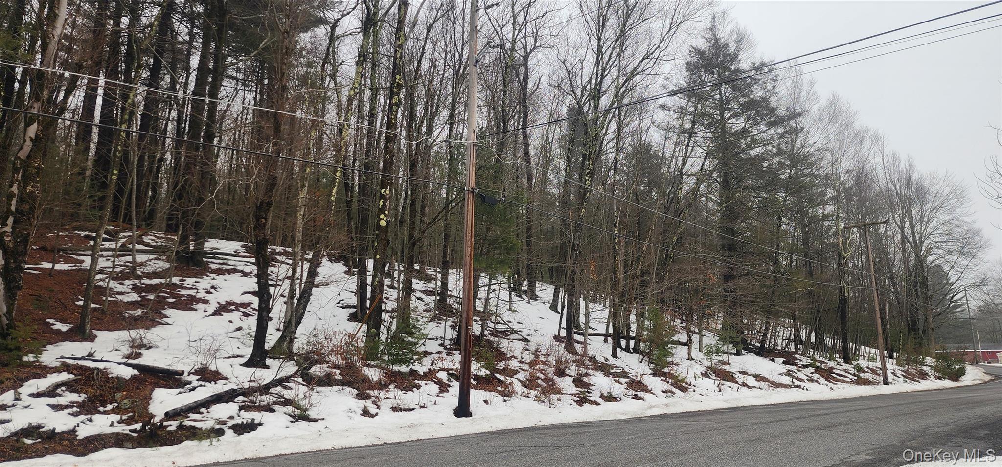 Hamilton Road Monticello, NY 12701 - Photo 9 of 11