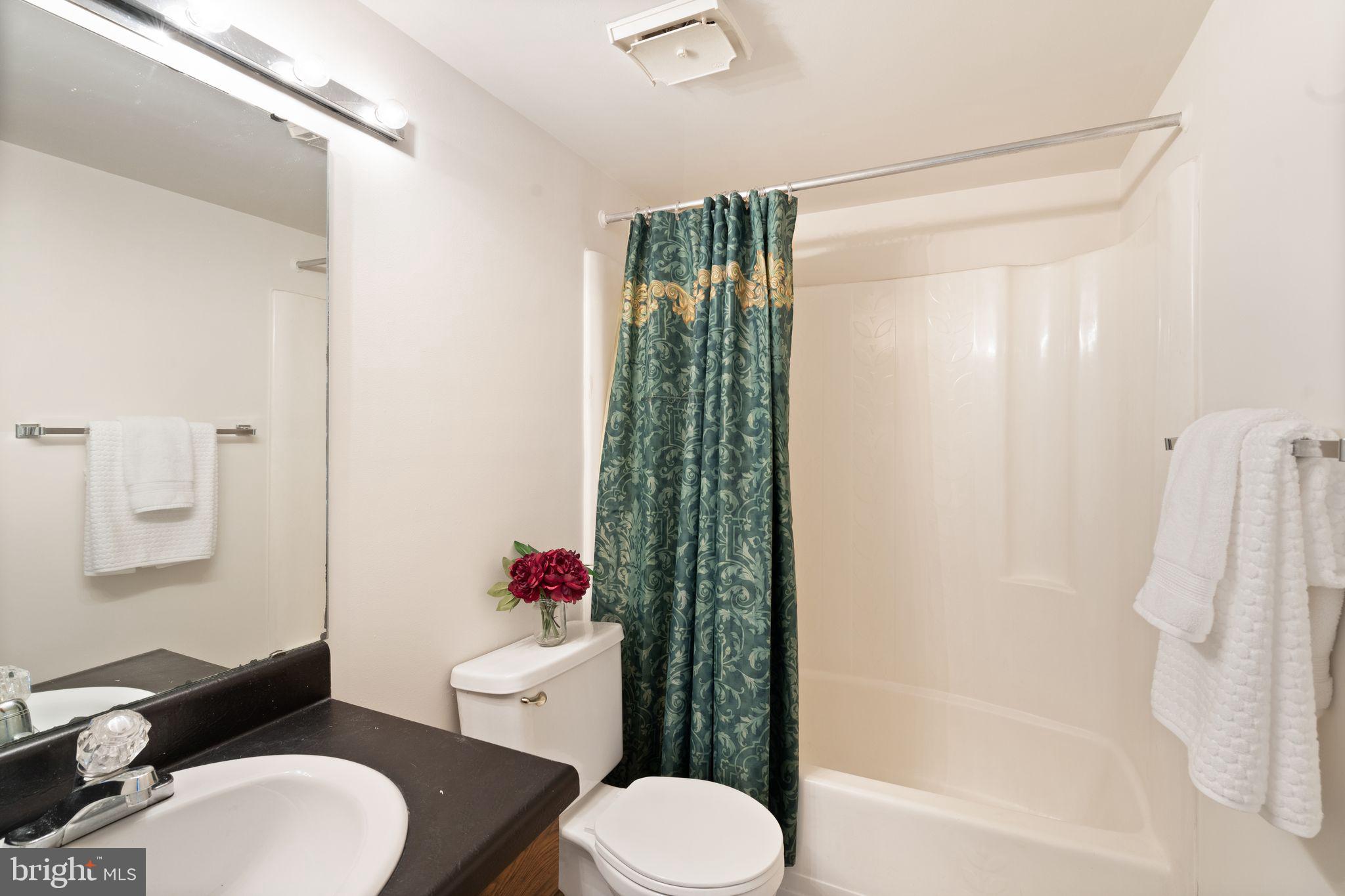 11200 Lagoon Lane Reston, VA 20191 - Photo 66 of 84 Full bath in Lower Level