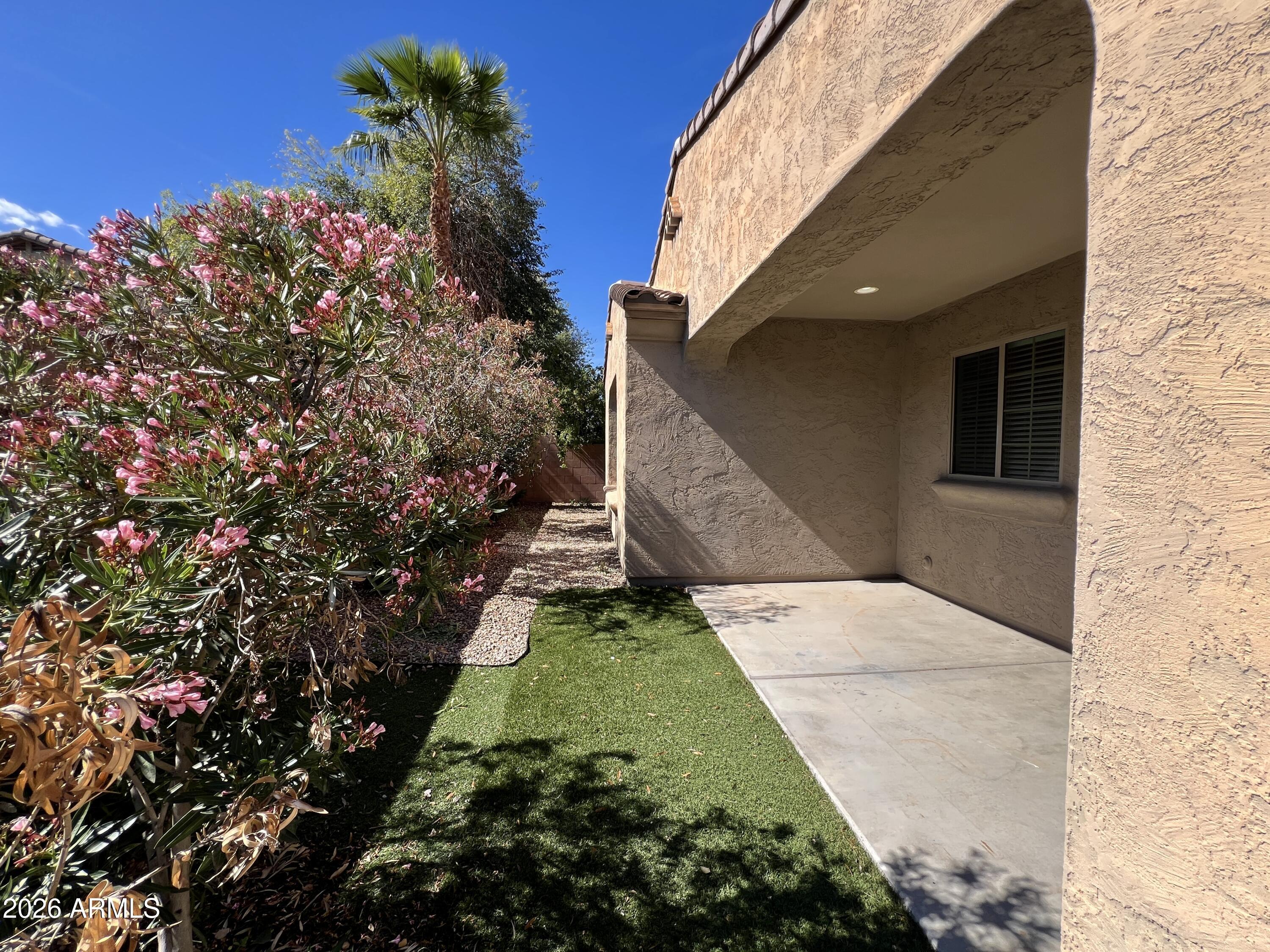 865 East Del Rio Street Chandler, AZ 85225 - Photo 15 of 15 a view of backyard with potted plants
