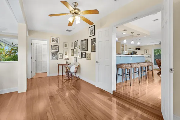 a view of a shaded area