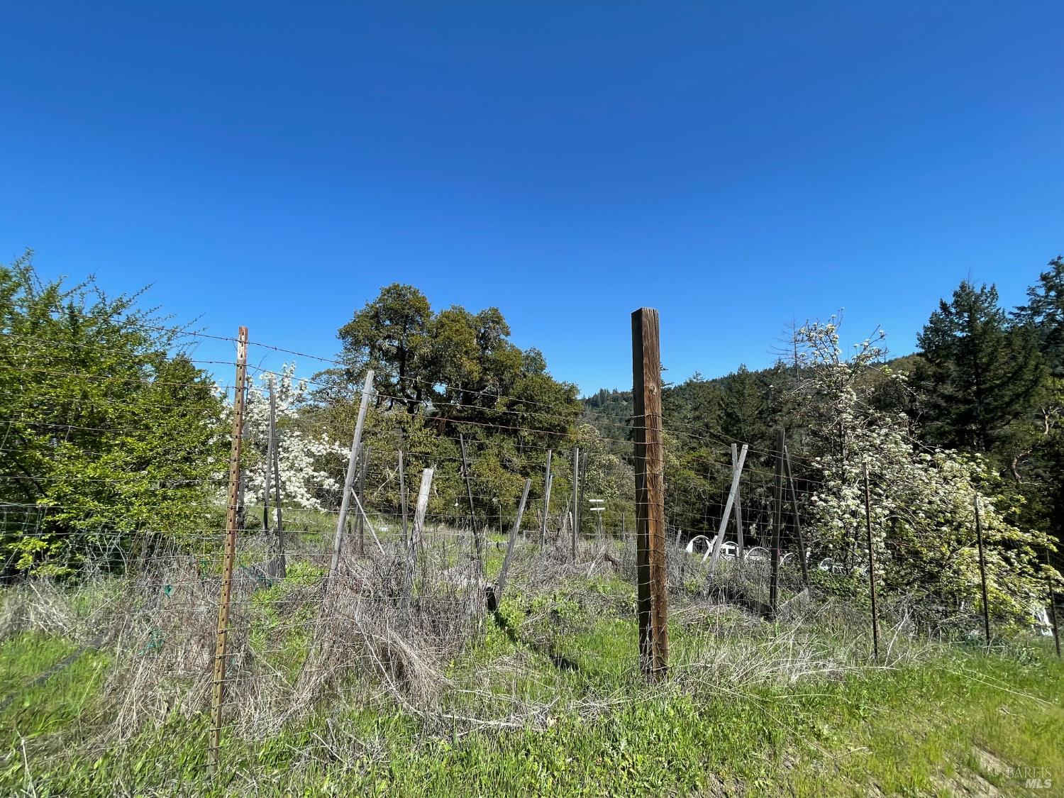 9655 Spyrock Road Laytonville, CA 95454 - Photo 11 of 14