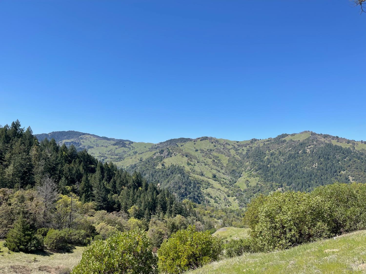 9655 Spyrock Road Laytonville, CA 95454 - Photo 13 of 14 a view of a mountain range with trees in the background