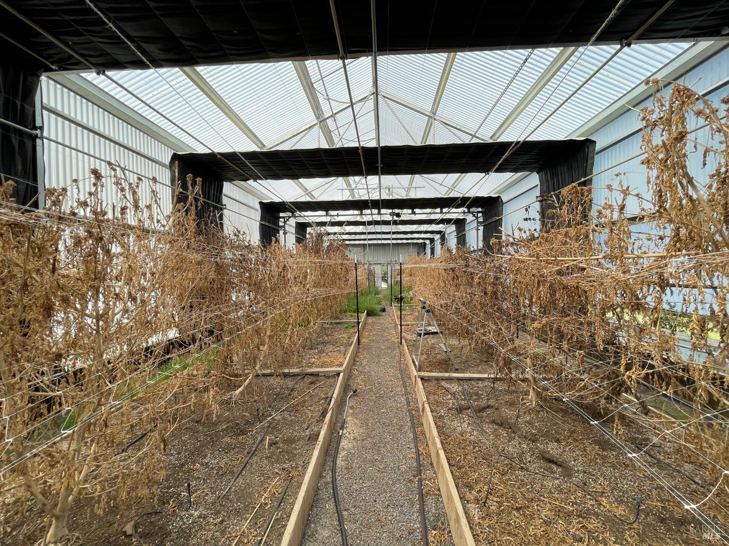 9655 Spyrock Road Laytonville, CA 95454 - Photo 3 of 14