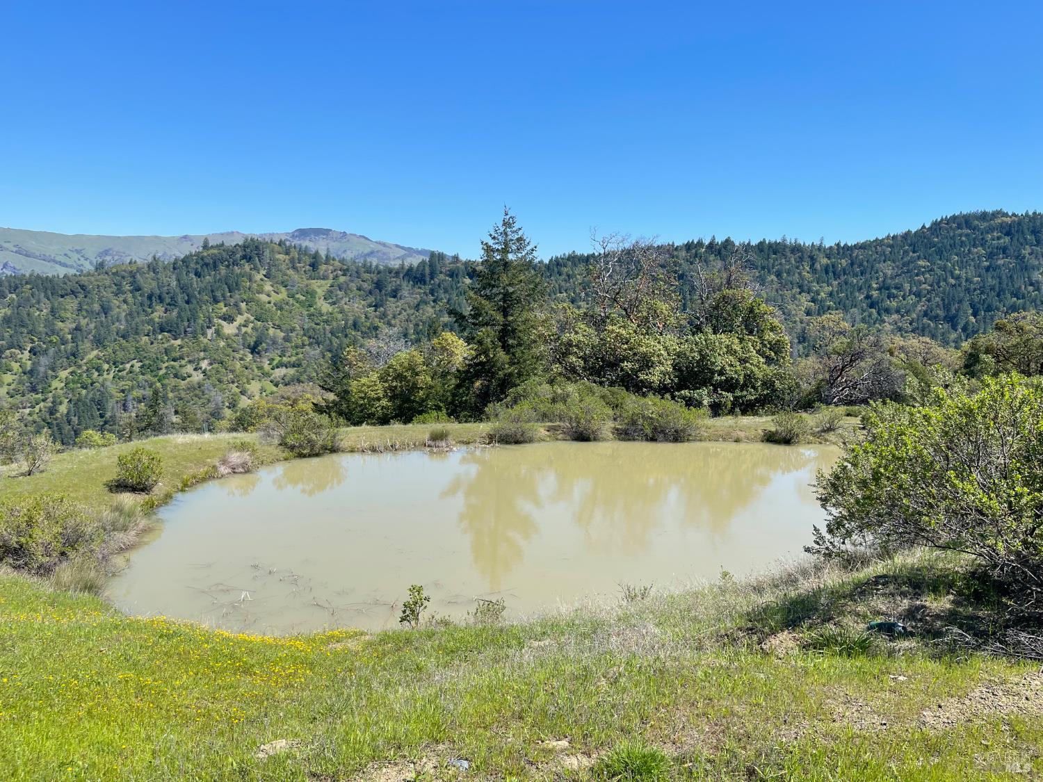 9655 Spyrock Road Laytonville, CA 95454 - Photo 4 of 14 a view of a lake with a mountain in the background