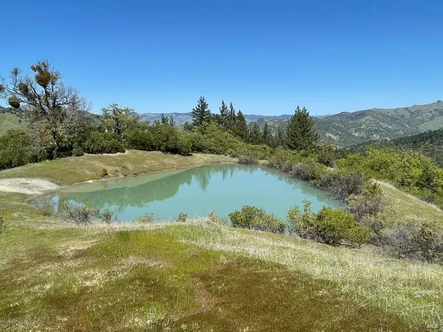 a backyard of a house with lots of plants and large tree
