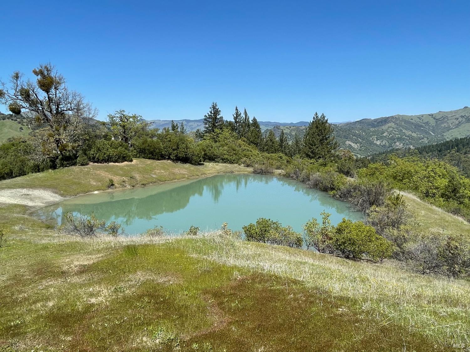 9655 Spyrock Road Laytonville, CA 95454 - Photo 5 of 14 a view of a lake from a yard