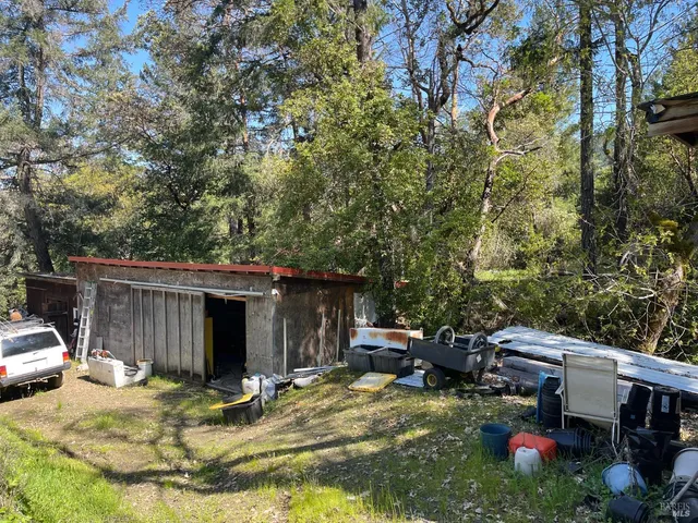 a view of a yard with plants and large trees