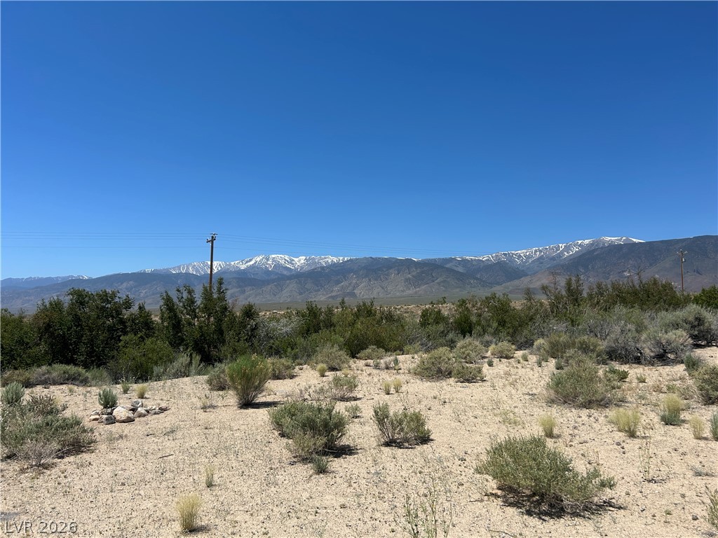 360 Mountain Creek Road Dyer, NV 89010 - Photo 21 of 23 A desert landscape unfolds with distant, snow-capped mountains under an endless blue sky.