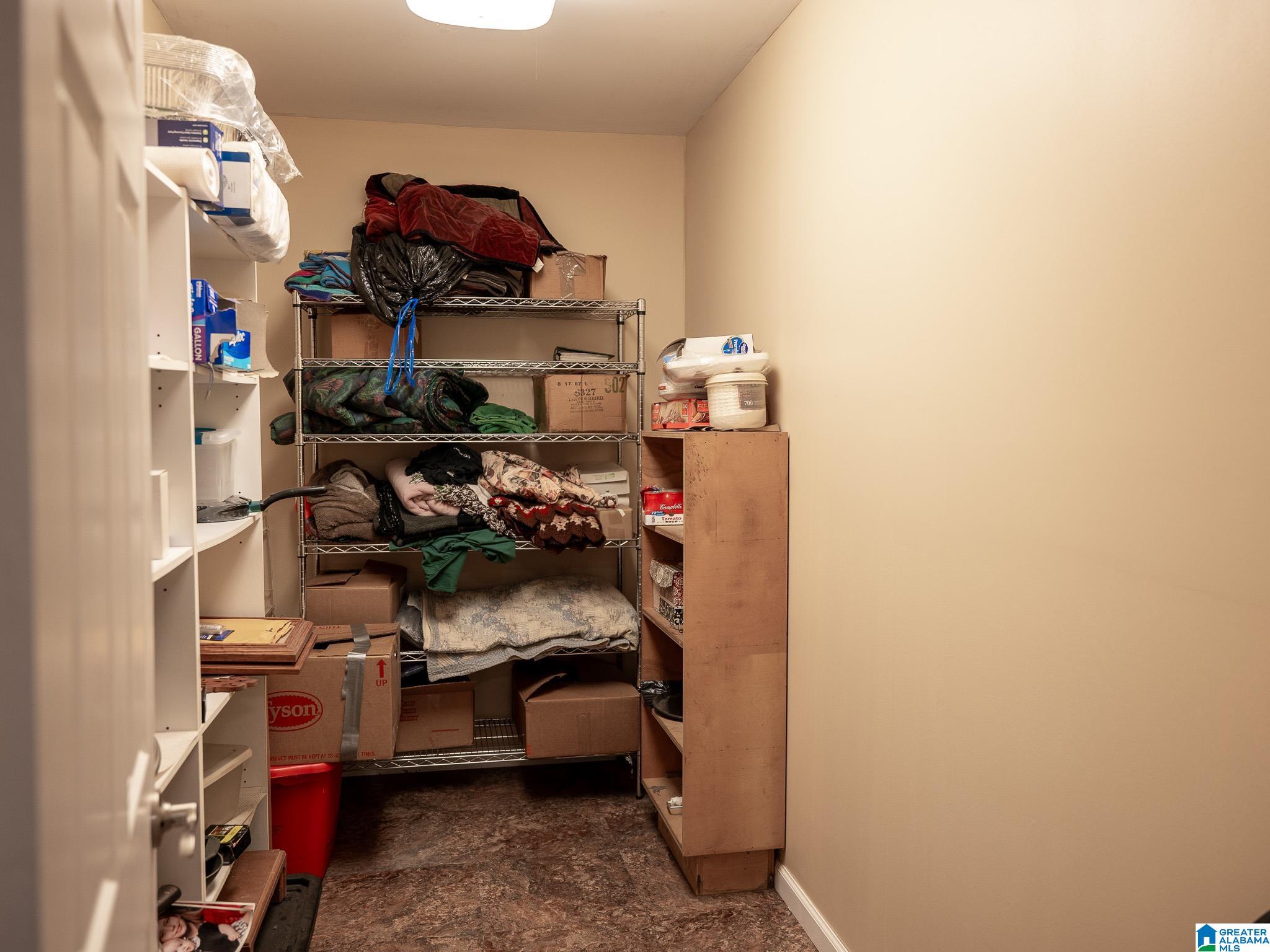 10715 Big Hurricane Road Brookwood, AL 35444 - Photo 21 of 47