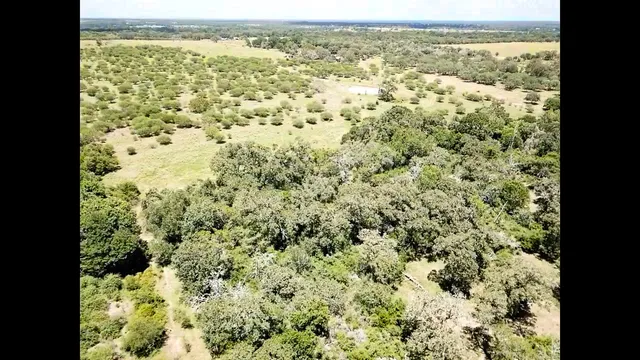 a view of sky from window