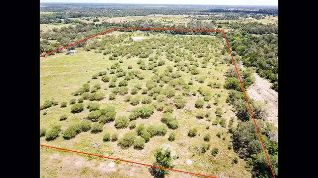 a view of outdoor space and a yard