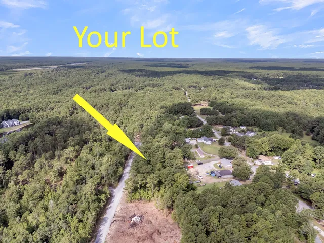 $300,000 | Lot 4 Giddyup Lane, Awendaw, SC 29429