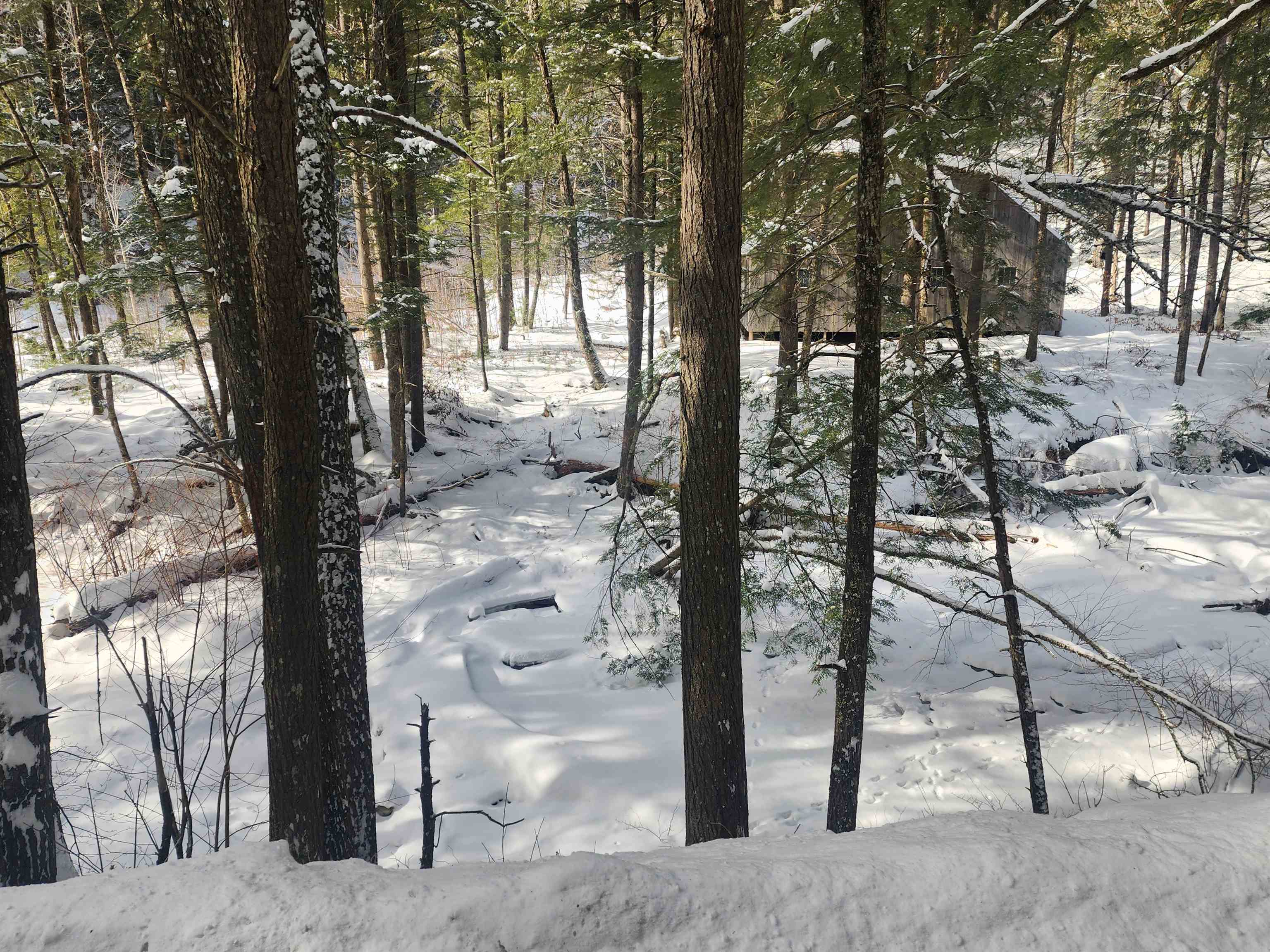 Tbd Lilliesville Brook Road Stockbridge, VT 05772 - Photo 4 of 16 Gallery Image 4