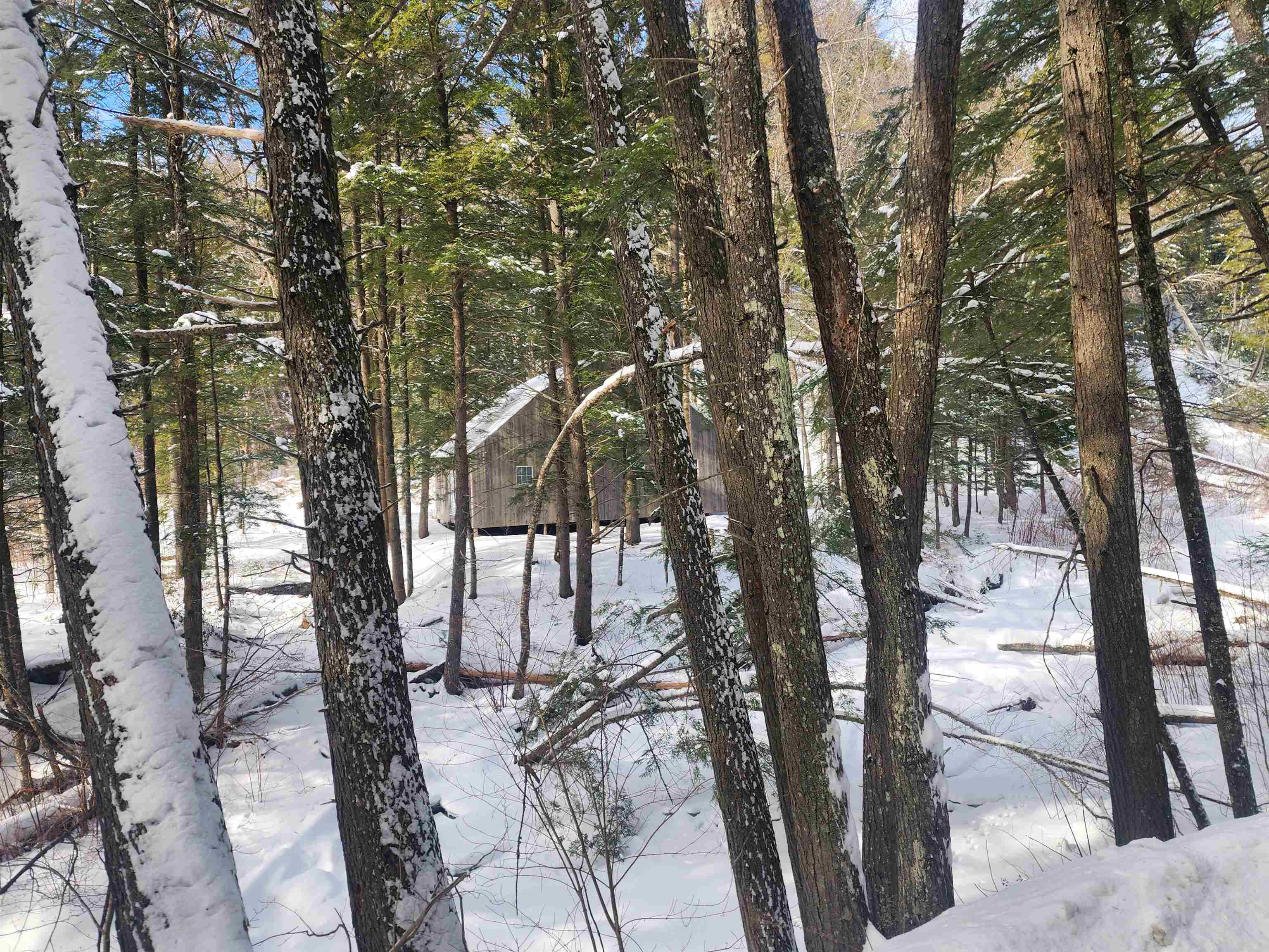 Tbd Lilliesville Brook Road Stockbridge, VT 05772 - Photo 5 of 16 Gallery Image 5