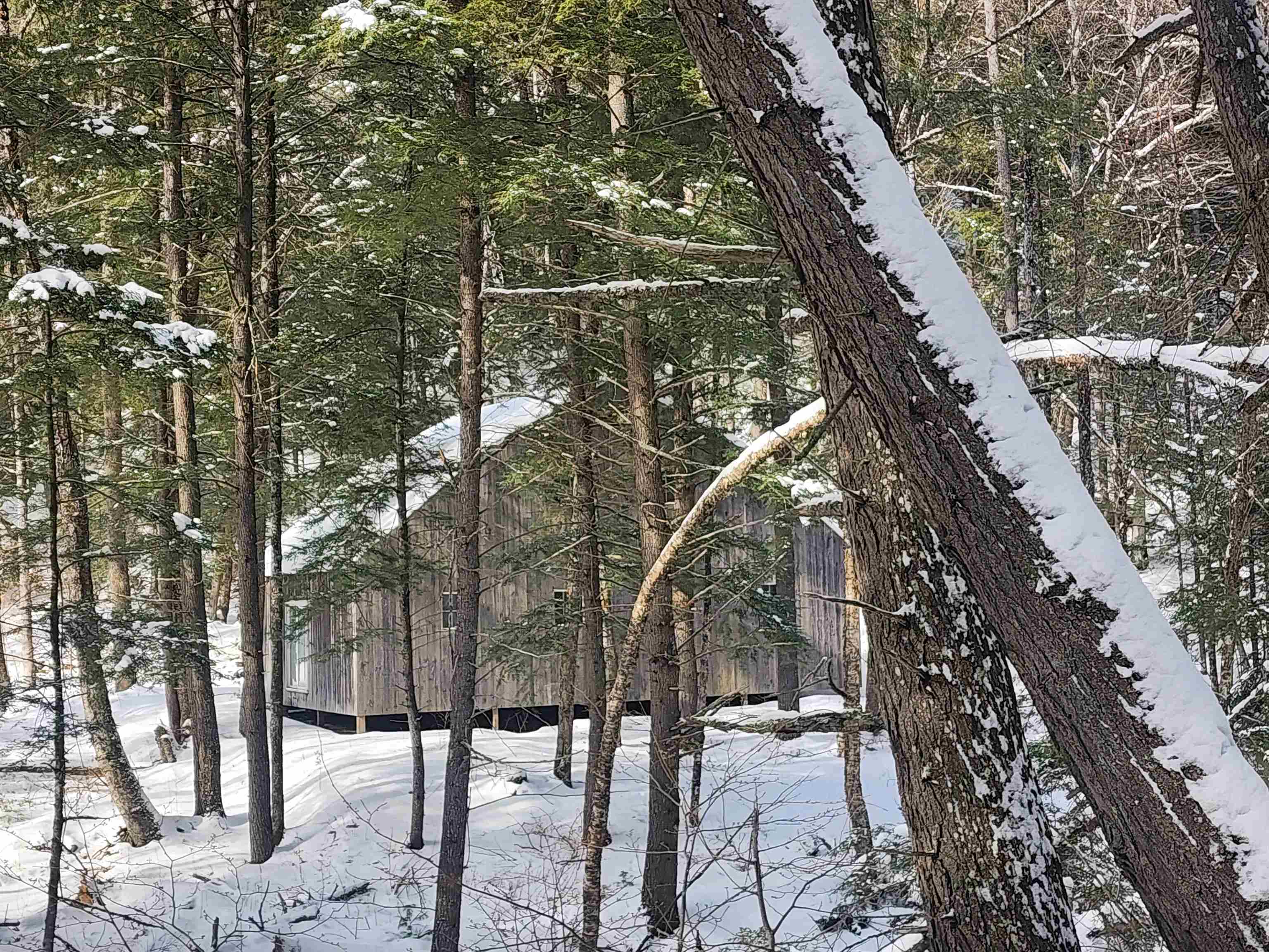 Tbd Lilliesville Brook Road Stockbridge, VT 05772 - Photo 6 of 16 Gallery Image 6