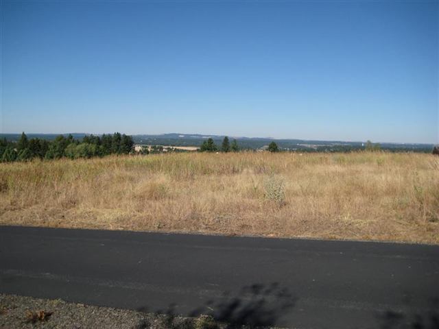 0 South Ben Burr Road Spokane, WA 99223 - Photo 1 of 9