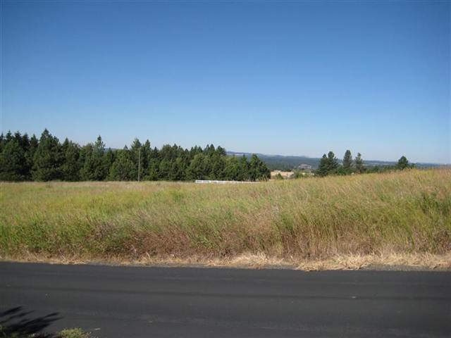 0 South Ben Burr Road Spokane, WA 99223 - Photo 2 of 9