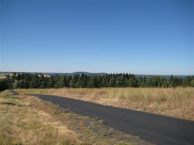 0 South Ben Burr Road Spokane, WA 99223 - Photo 3 of 9