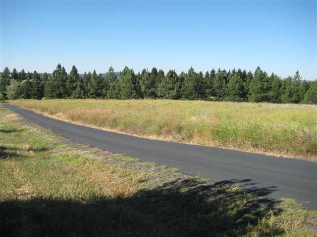 0 South Ben Burr Road Spokane, WA 99223 - Photo 4 of 9