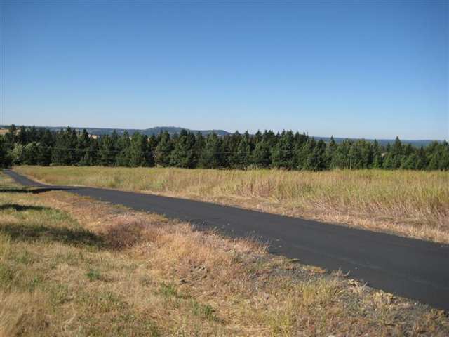 0 South Ben Burr Road Spokane, WA 99223 - Photo 5 of 9