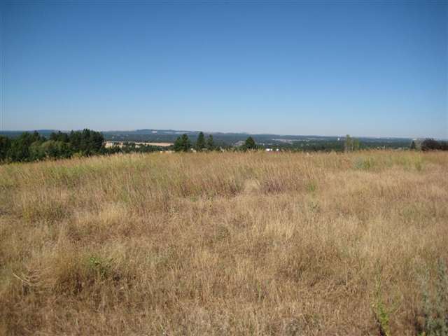 0 South Ben Burr Road Spokane, WA 99223 - Photo 6 of 9