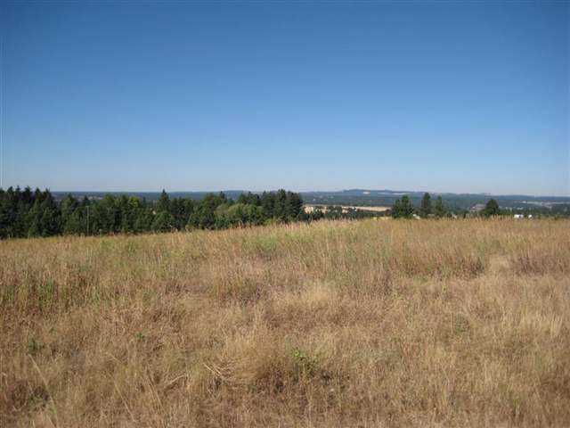0 South Ben Burr Road Spokane, WA 99223 - Photo 7 of 9