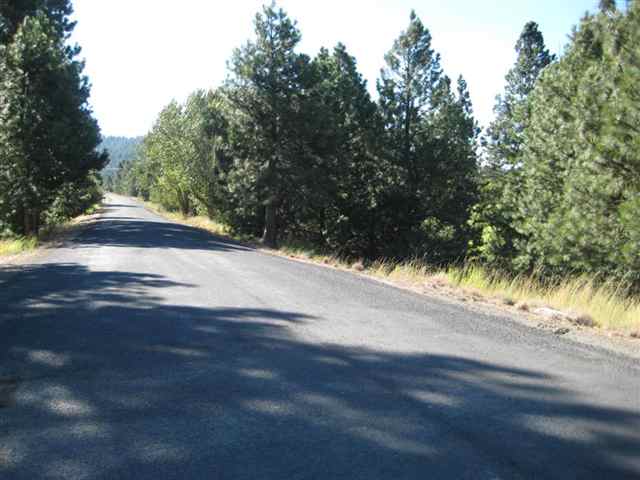 0 South Ben Burr Road Spokane, WA 99223 - Photo 8 of 9