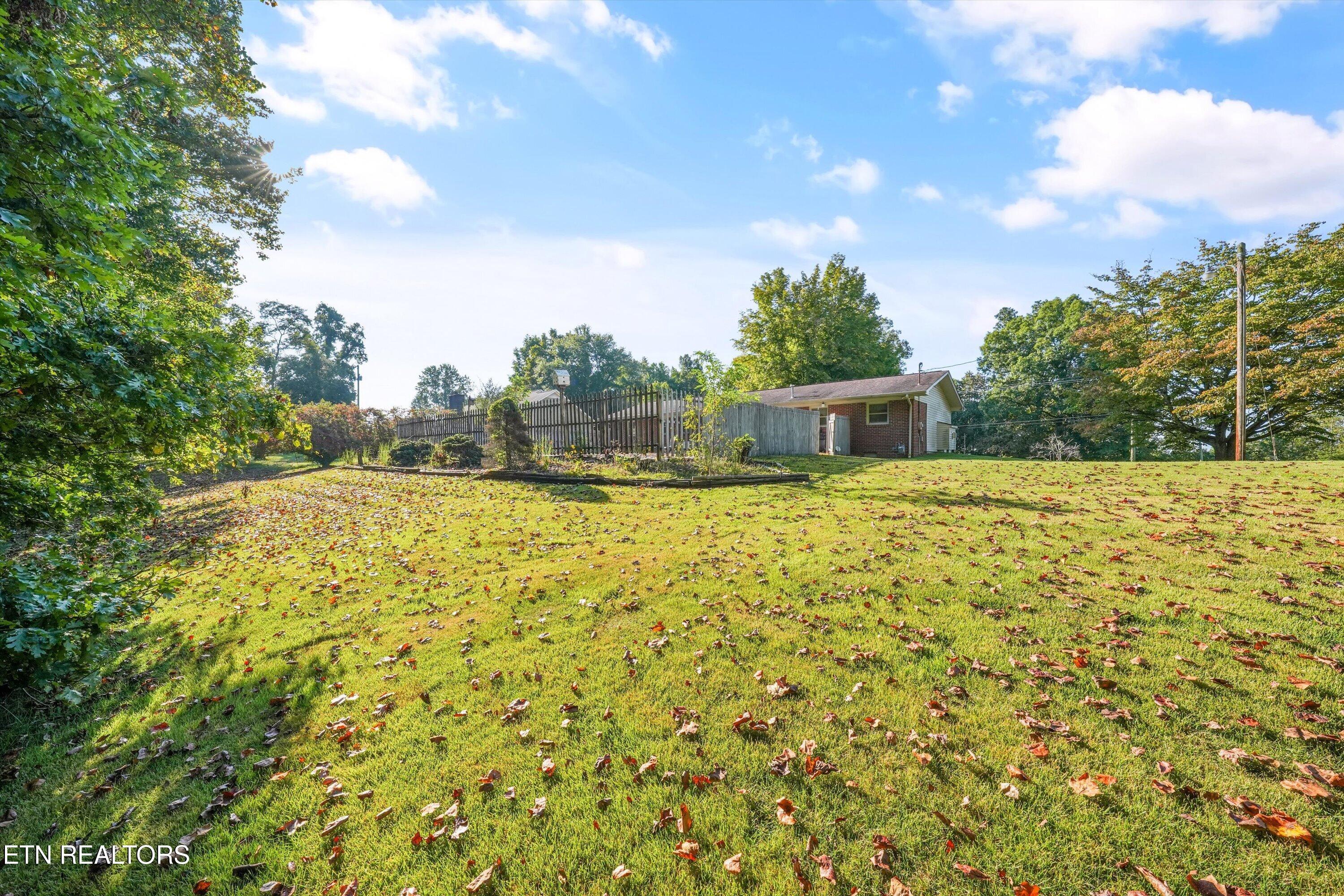 813-815 Stephens Road Rocky Top, TN 37769 - Photo 34 of 51 34-815 Stephens Rd23