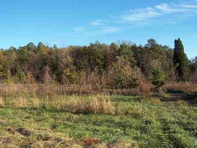 3941 Keys Street Anderson, SC 29624 - Photo 2 of 3 Gallery Image 2