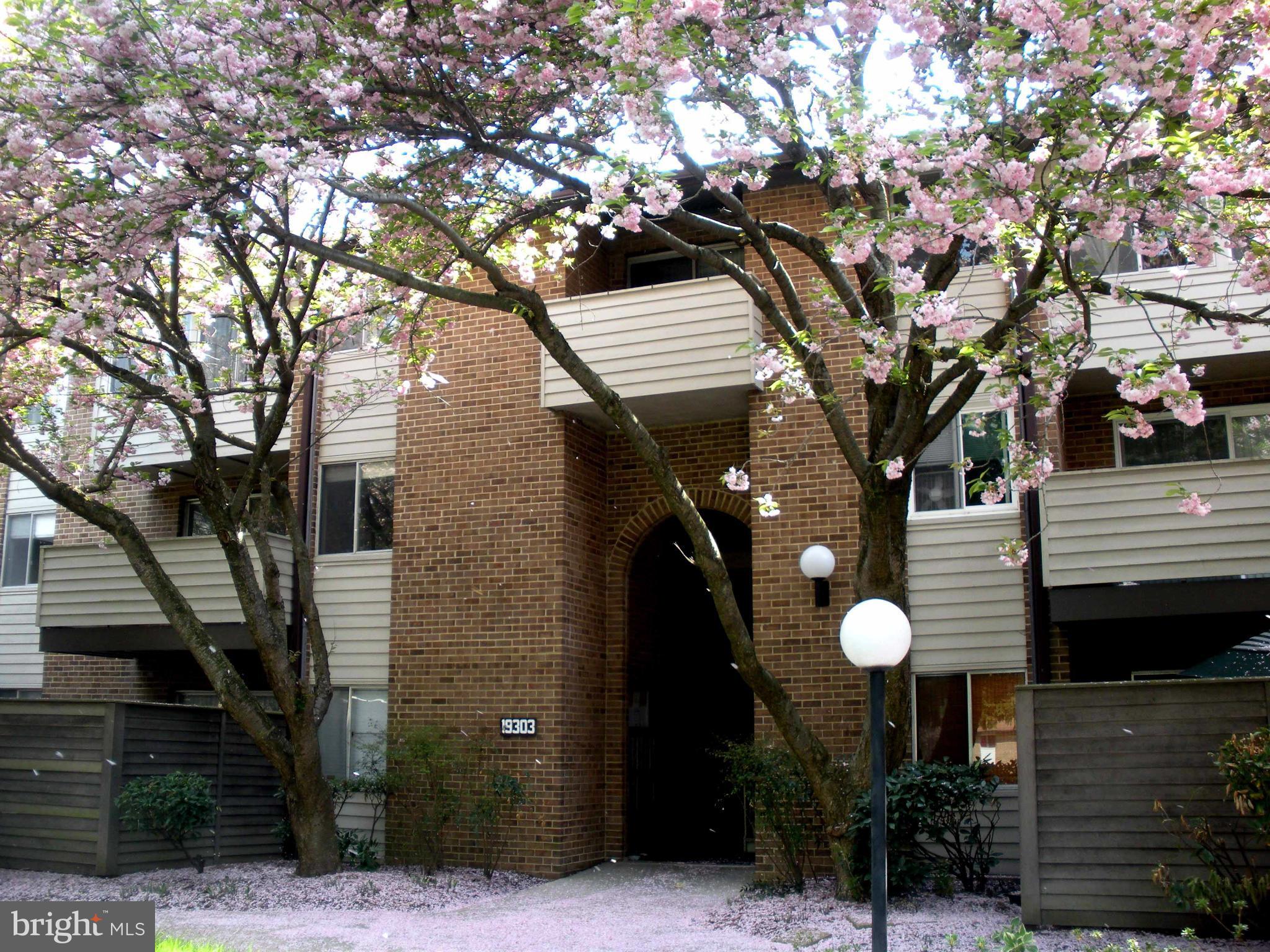 19303 Club House Road, Unit 103 Gaithersburg, MD 20886 - Photo 1 of 8 Exterior (Front)