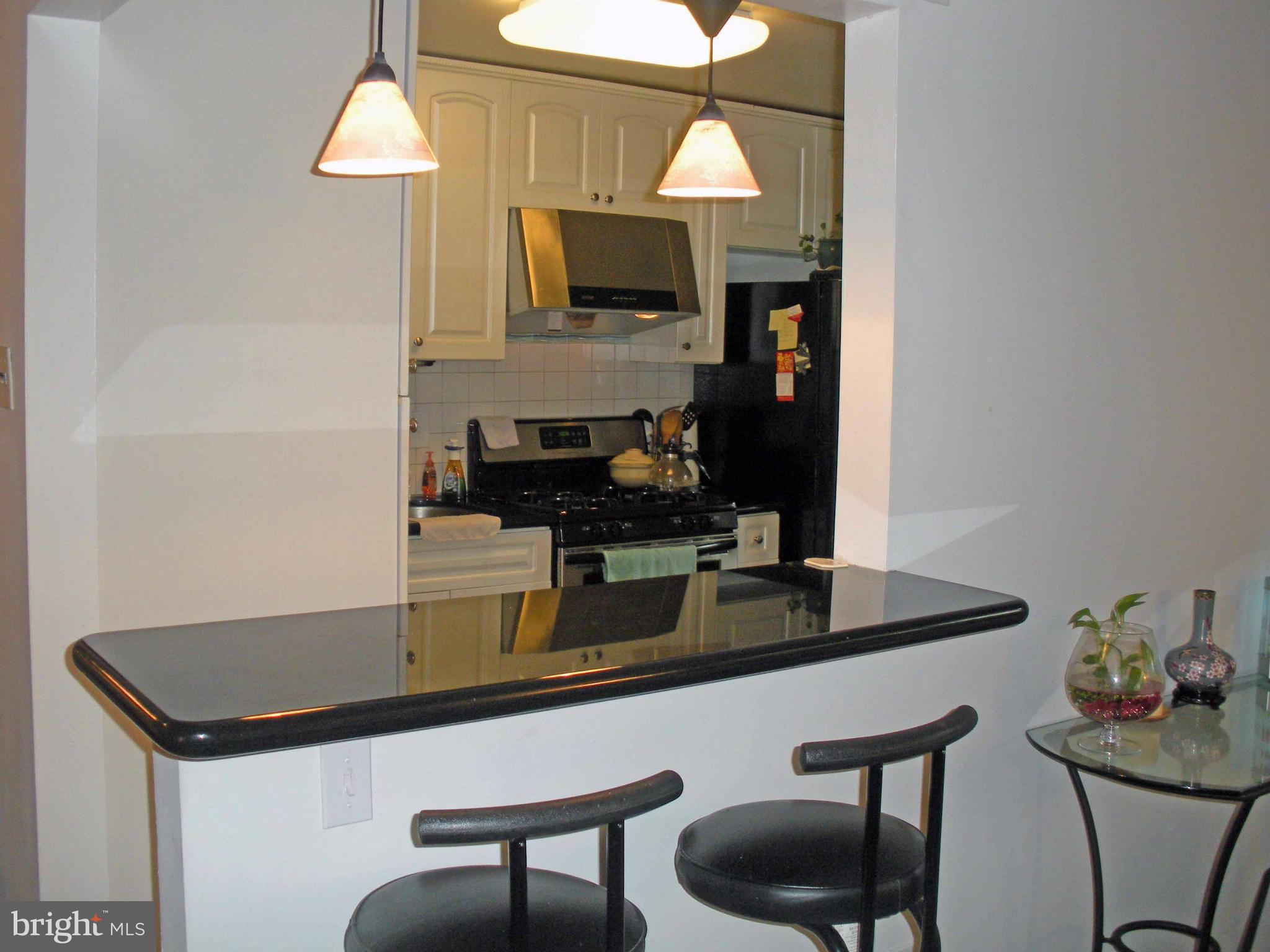 19303 Club House Road, Unit 103 Gaithersburg, MD 20886 - Photo 4 of 8 Breakfast bar