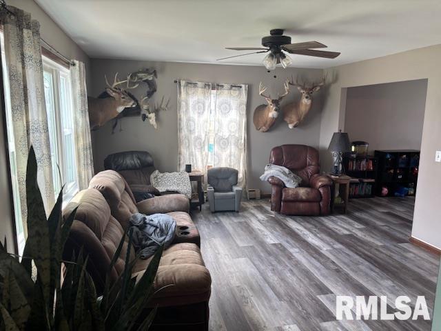 220 North Union Street Good Hope, IL 61438 - Photo 3 of 12