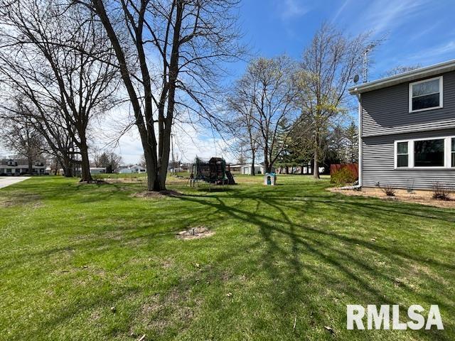 220 North Union Street Good Hope, IL 61438 - Photo 9 of 12