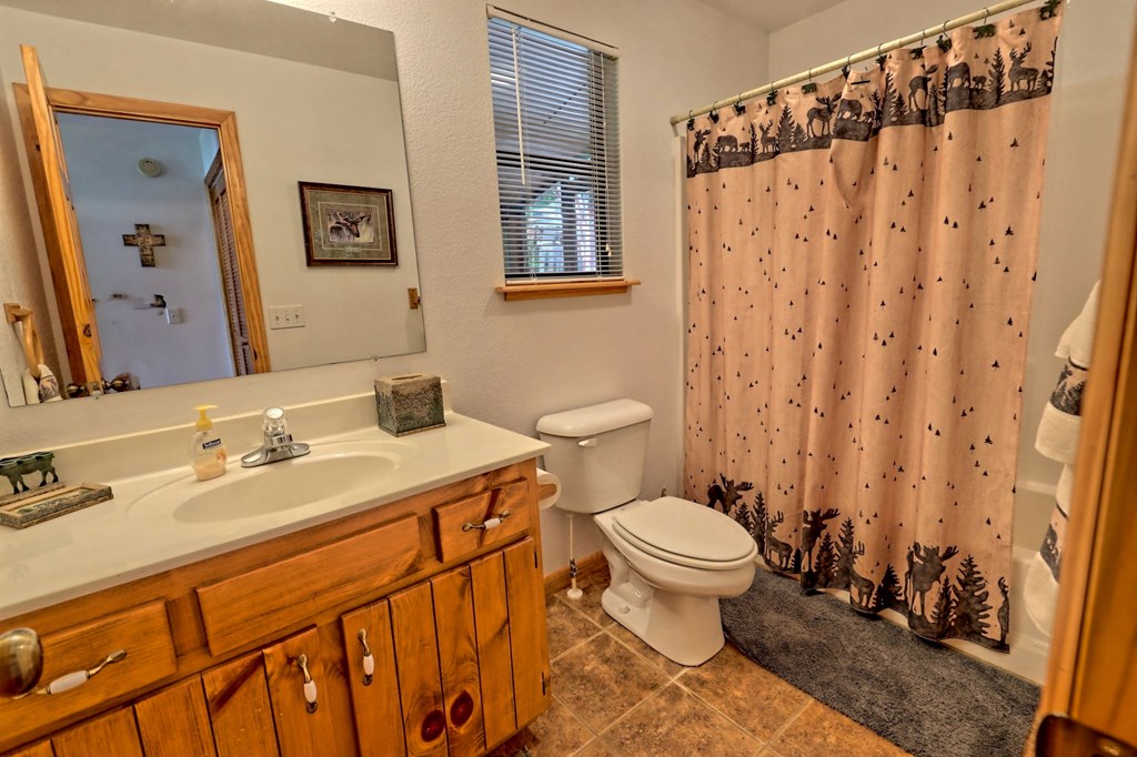 470 Raccoon Ridge Murphy, NC 28906 - Photo 33 of 66 Gallery Image 33