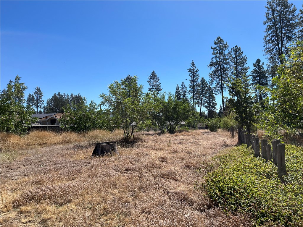 1387 Wagstaff Road Paradise, CA 95969 - Photo 3 of 4
