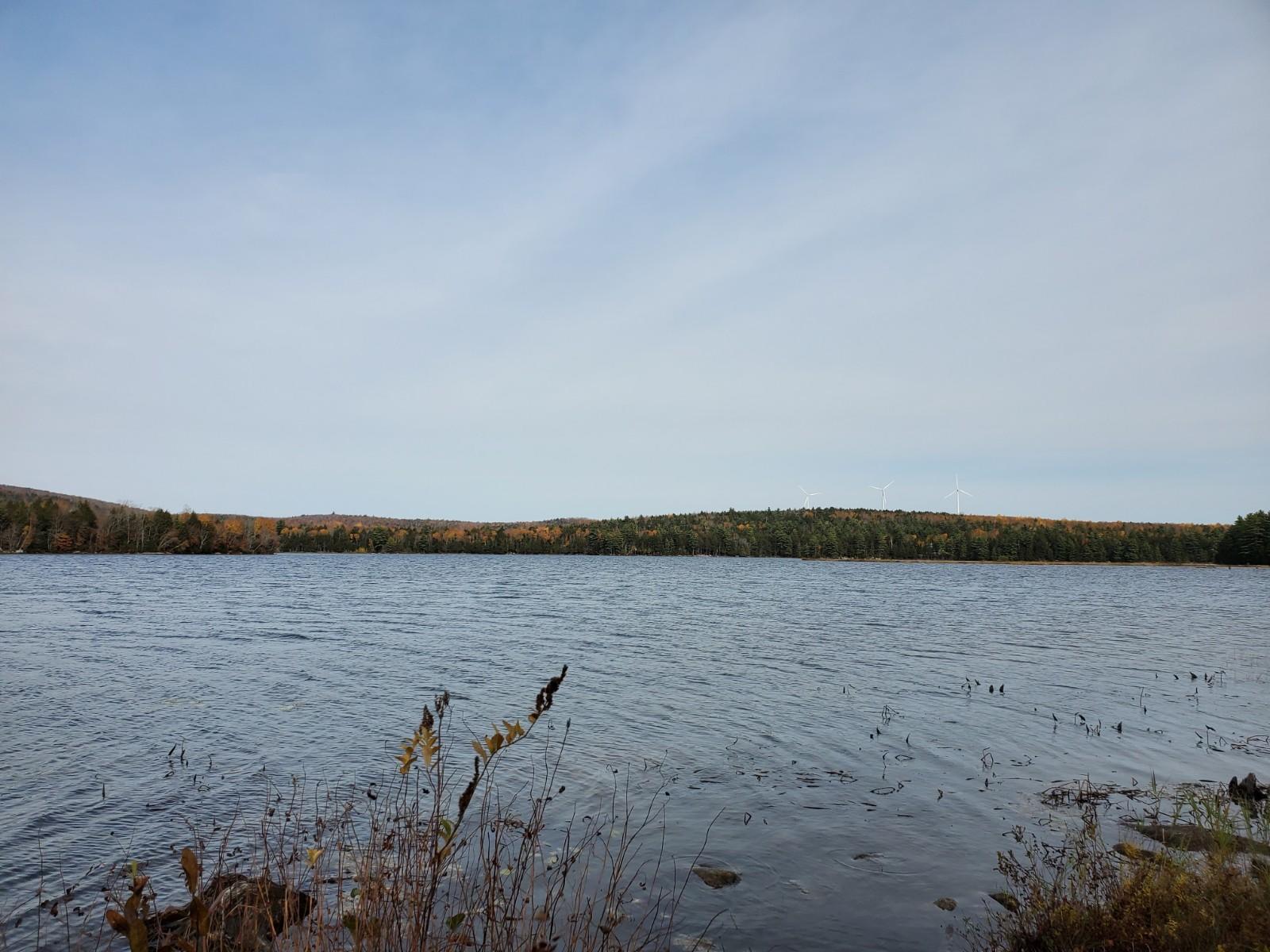 Lot 2 Still Road Lincoln, ME 04457 - Photo 10 of 12 20201019_122503