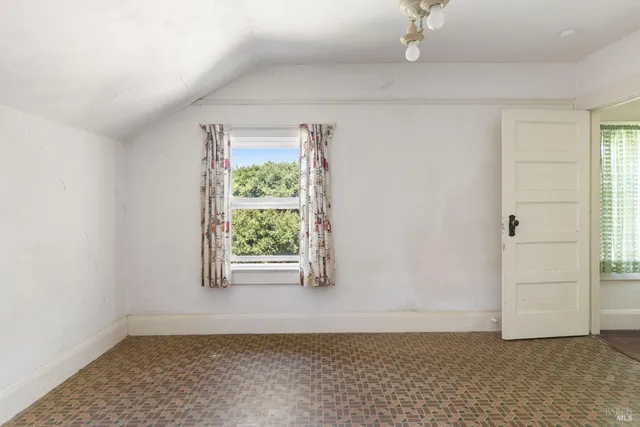 a view of a garden with a tree