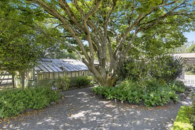 a view of backyard with green space