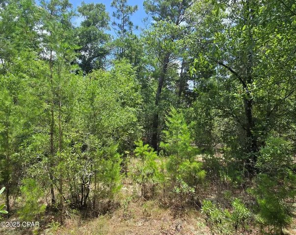 $14,500 | Lot 7 Jamaica Circle, Chipley, FL 32428