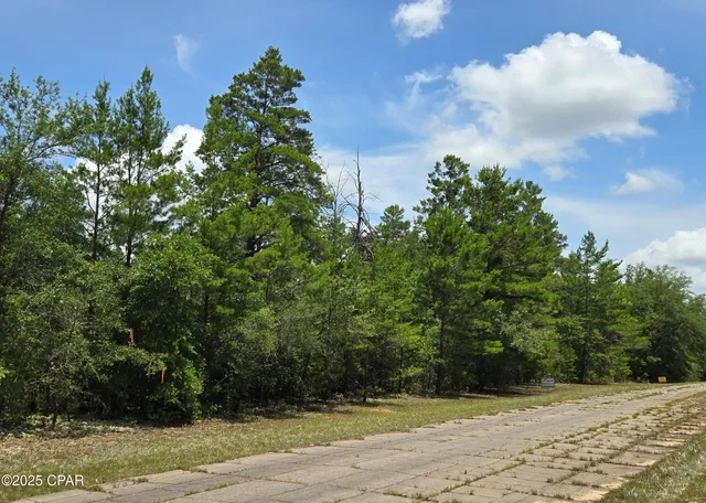 $14,500 | Lot 7 Jamaica Circle, Chipley, FL 32428