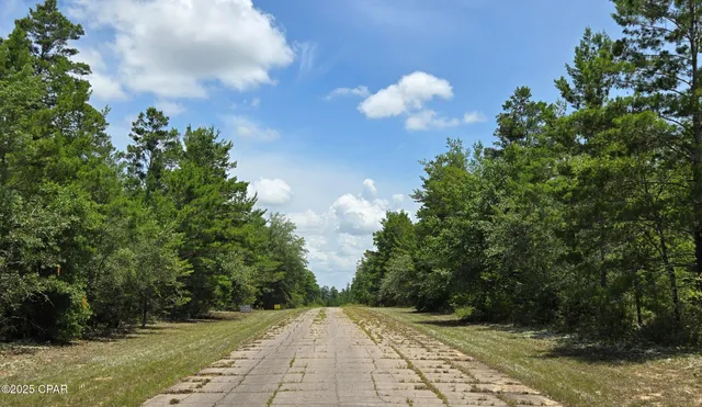 $14,500 | Lot 7 Jamaica Circle, Chipley, FL 32428