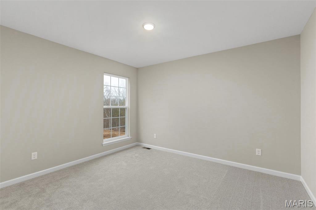 2 Maple Expanded At Windswept Eureka, MO 63025 - Photo 8 of 22