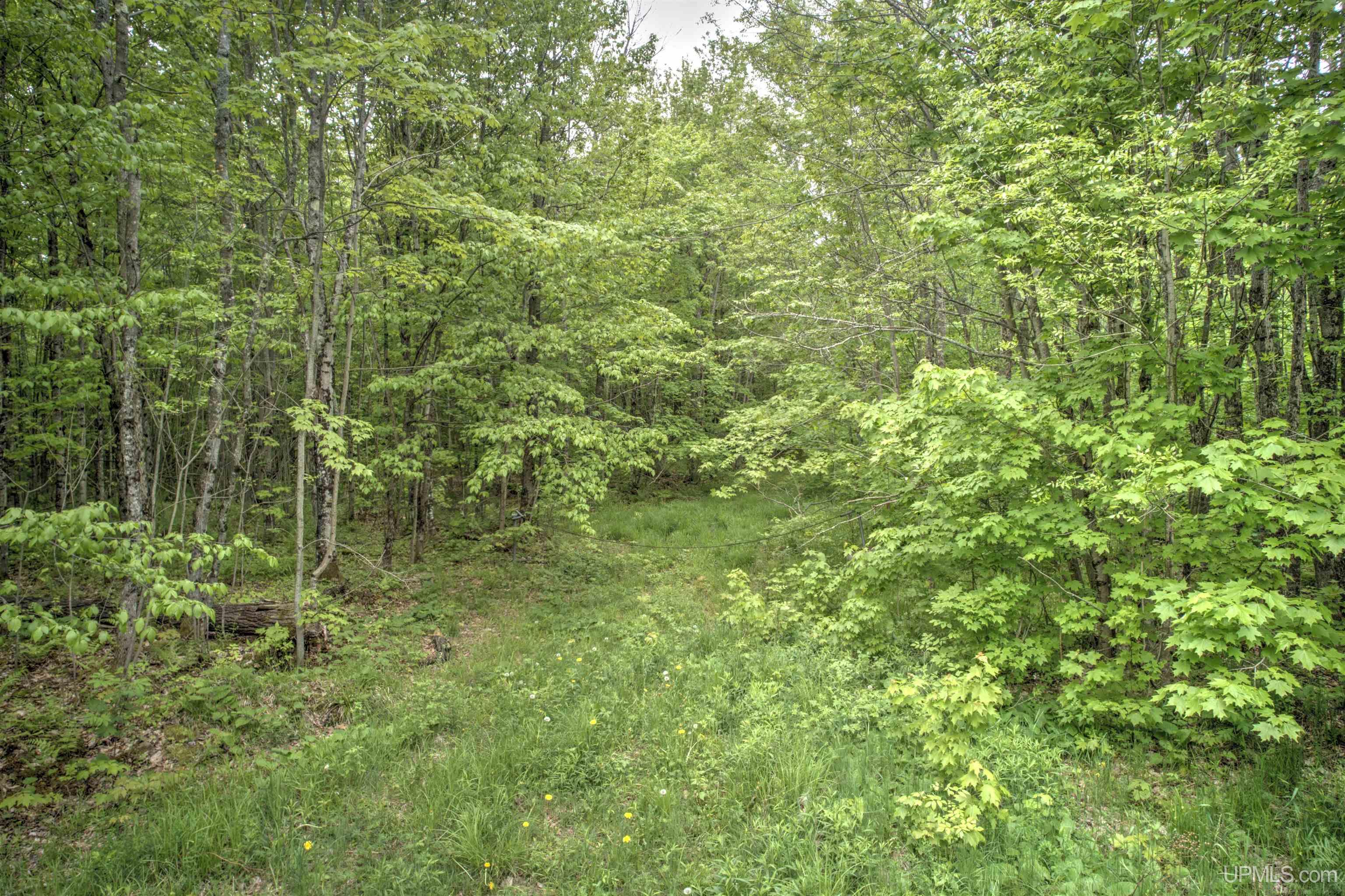 Tbd Tbd Segan Road Marquette, MI 49855 - Photo 10 of 21