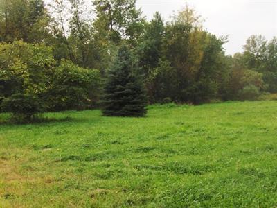 4686 Bundy Road Coloma, MI 49038 - Photo 2 of 9 Additional Photo