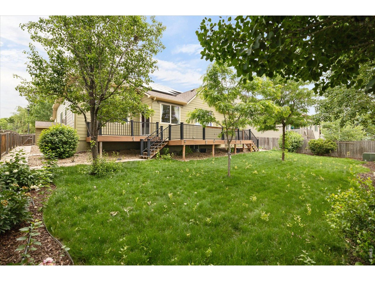 8145 Raspberry Drive Frederick, CO 80504 - Photo 33 of 46 Gorgeous private backyard