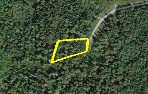 31-26 Palmer Way Dallas Plt, ME 04970 - Photo 2 of 25 Screenshot 2025-04-30 134252
